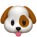 DOGGY FAM!