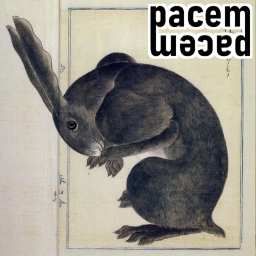 pacem hangout !