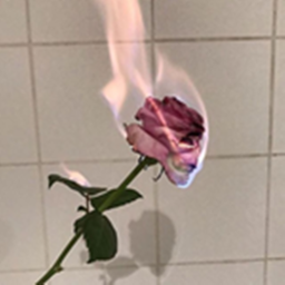 burnt rose home store (WIP)