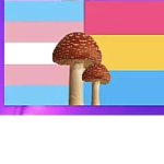 LGBTQ anime group