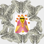 Moth City