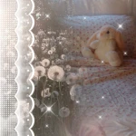 Angelic Buns ୨୧ Group Thumbnail