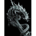 dragon and the fire