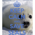 seals rule!