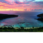 Hawaii's Hangout