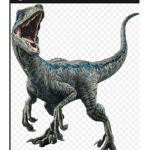 Raptor + supporters only