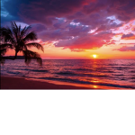 Sunset_happy group<3