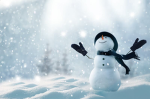 Snow universe
