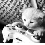 ssxnya
