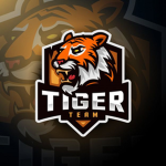 #GamingTigerTeam
