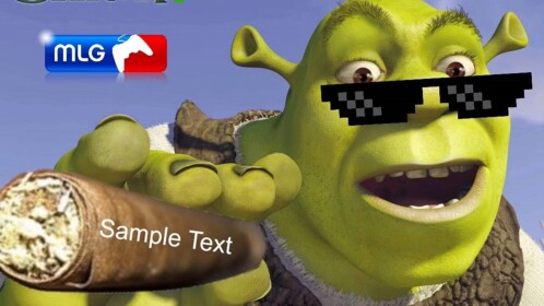 Shrek And Doge (FLAMINGO)