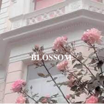 Blossom Fashion design