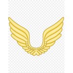Doge Imperium Air Force