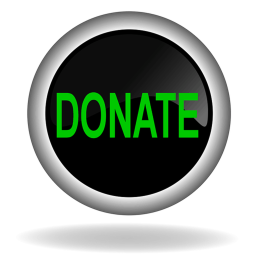 donation game