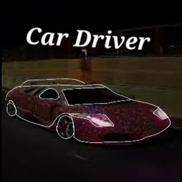 Car driver