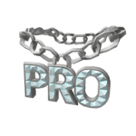 PRO LLC