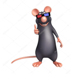 VERY COOL RATS