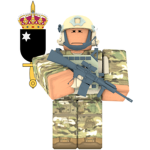 TSA Special Operations Task Group