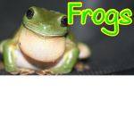 THE FROGS UNITED