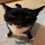 hubert [CLICKER] 🐈‍⬛