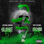 chicago slime