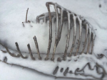 snowc