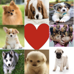 Puppy girl forever