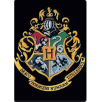 Hogwarts ######