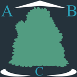 Auxiliary Bush Cohort
