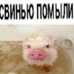Tbl_KTO9