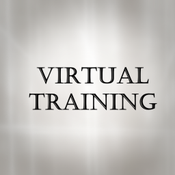 Virtual Training