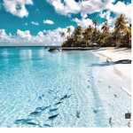 *wave’s closet*