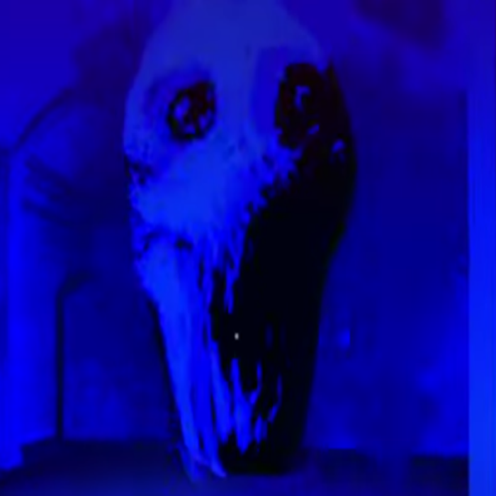 frostbite doors hardcore Roblox decal