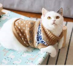 *-~ The Cats’ Clothing ~-*