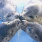 Group Thumbnail