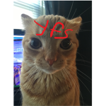 yfs