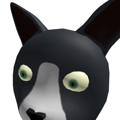 Black Cat Head