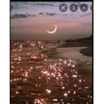 $Midnight Moon$