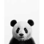 PANDAS!!!!!!!!!