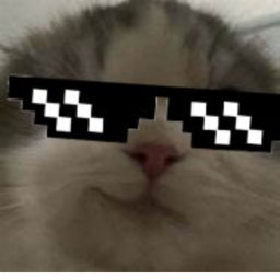 difficult obby