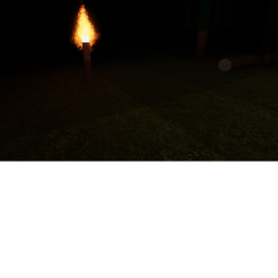 The Forest