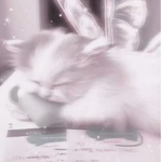 The cat Army peeps lolol