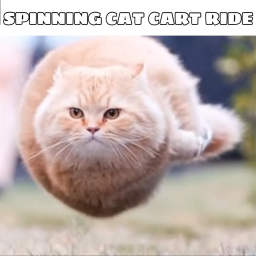 Flying Spinning Cat Cart Ride [🐈]