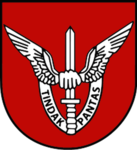 [MCA] 10 Briged Parachute