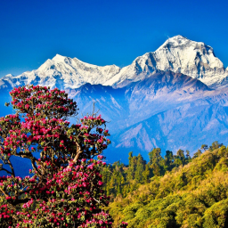 cllimb the mountains