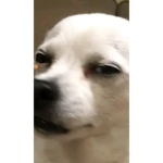 Clickbate