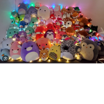 The squishmallow family