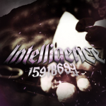 彡Intelligence