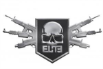 elite avengers
