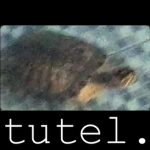 tutel. fans